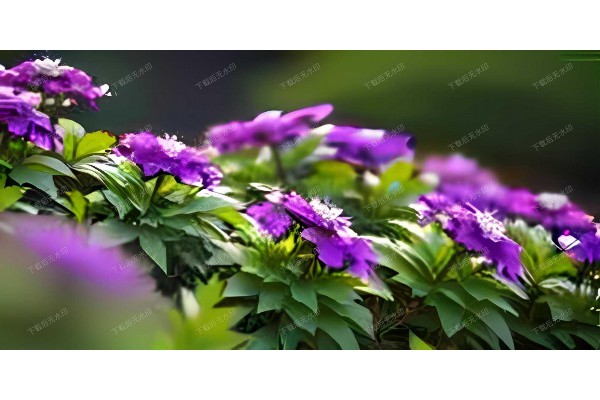 武汉桑拿高温体验,价格揭秘大公开! 武汉桑拿高温体验,价格揭秘大公开!